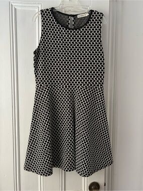Ginger G | Black and White | Flare Skate Dress
